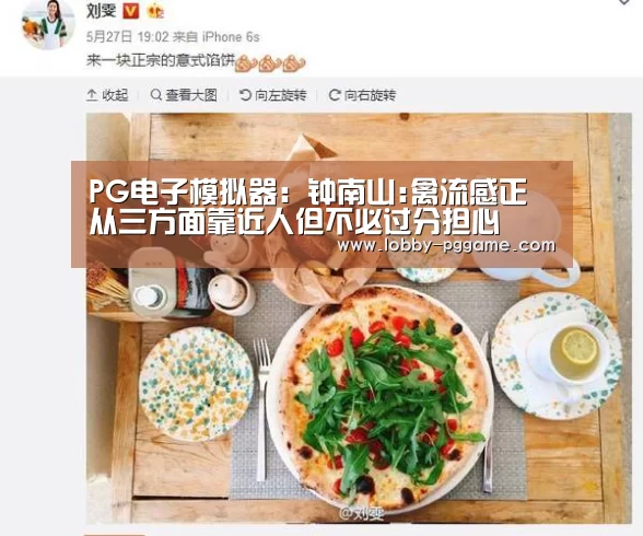 PG电子模拟器