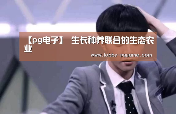 PG电子模拟器
