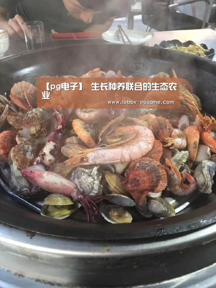 PG试玩
