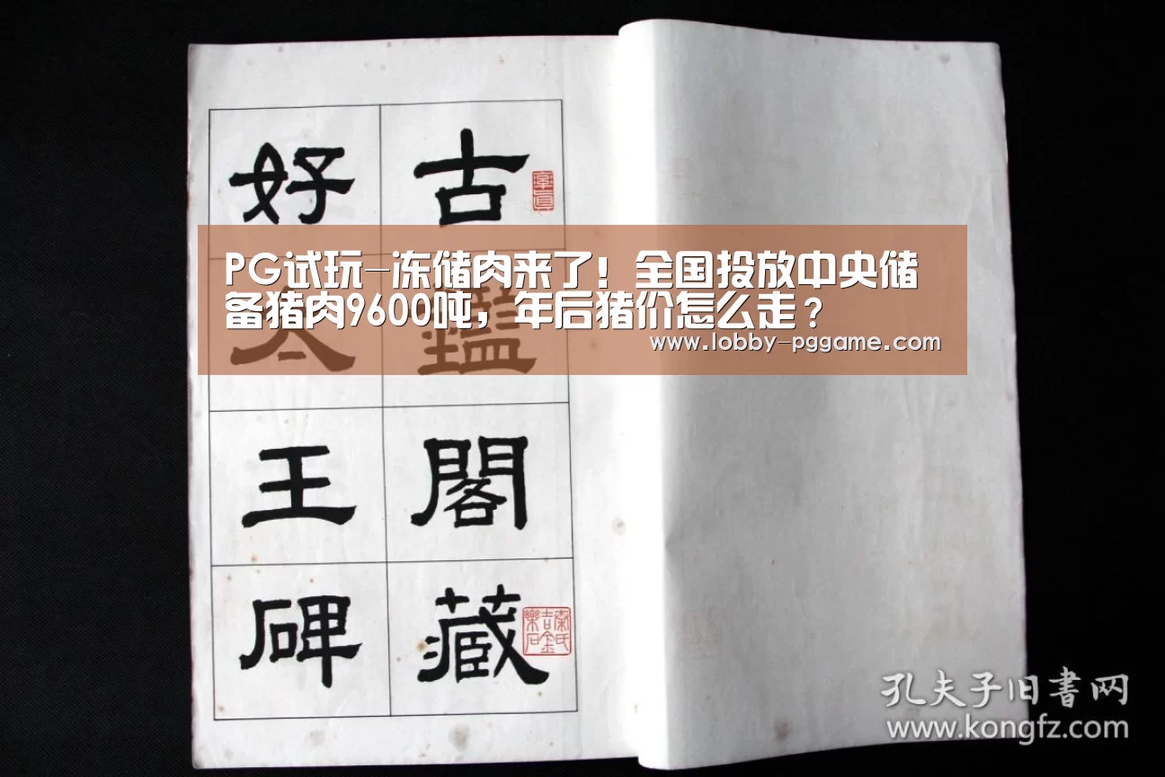 PG电子模拟器