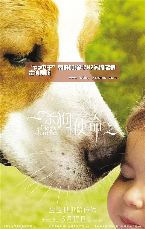 “pg电子”朝鲜加强H7N9禽流感病毒的预防
