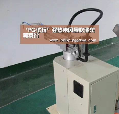 ‘PG试玩’强热带风暴吹涨东莞菜价