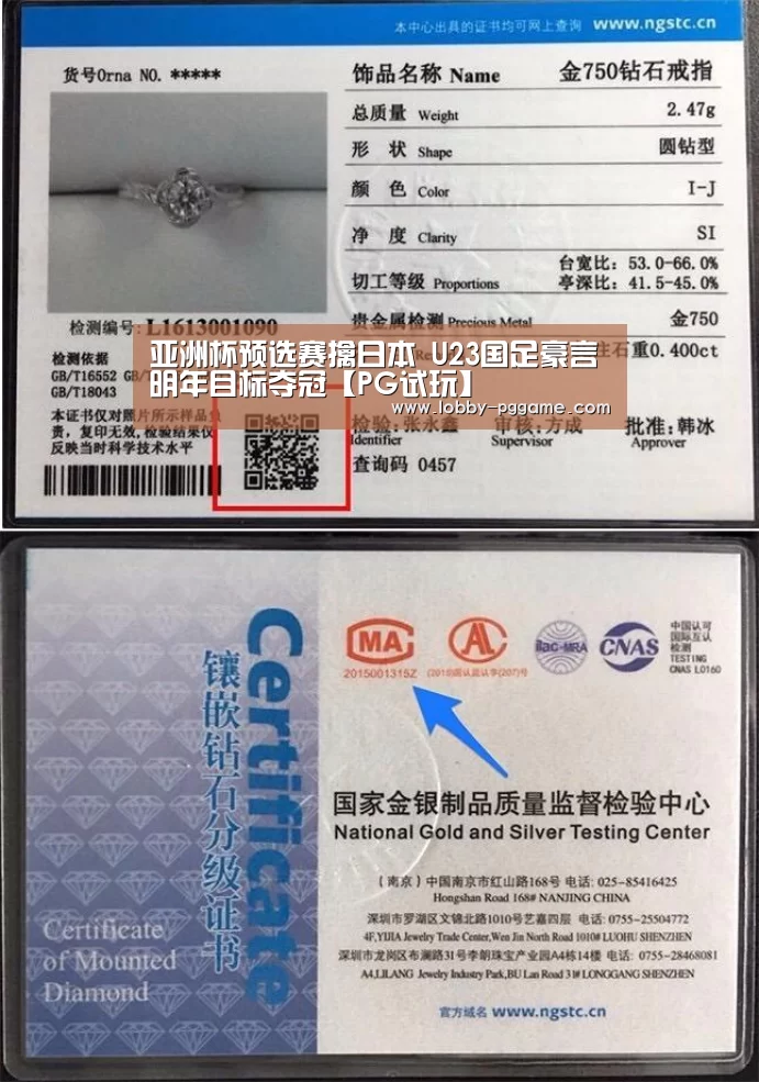PG电子模拟器
