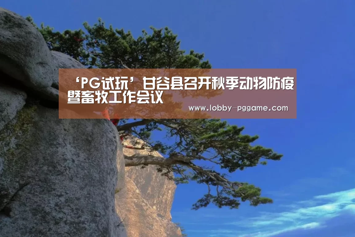 PG电子模拟器