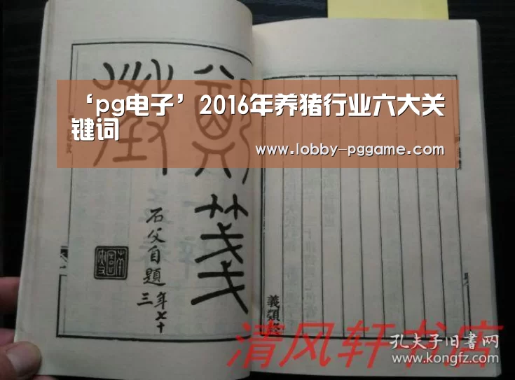 pg电子