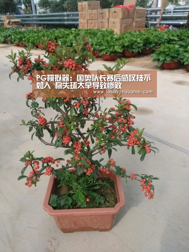 PG模拟器