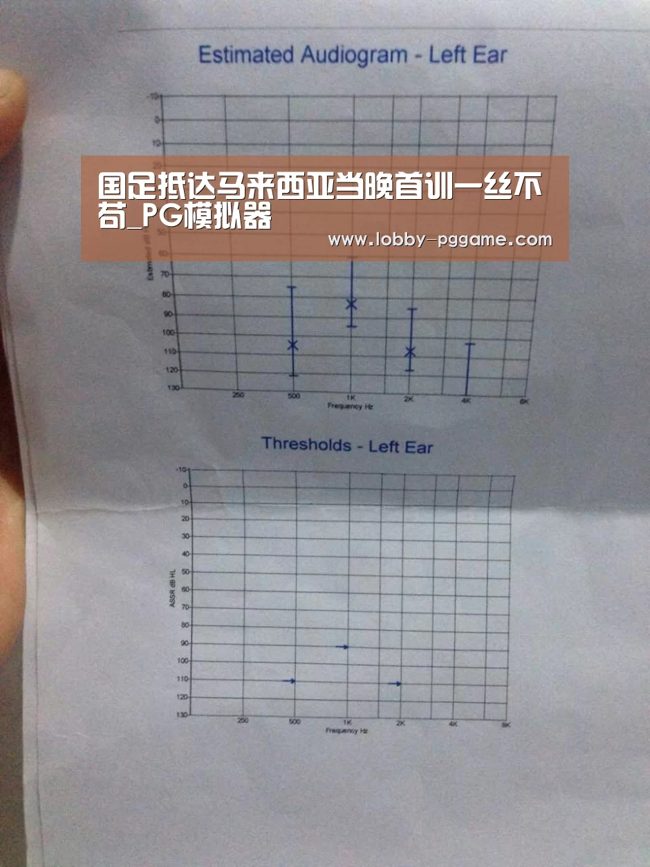 PG电子模拟器