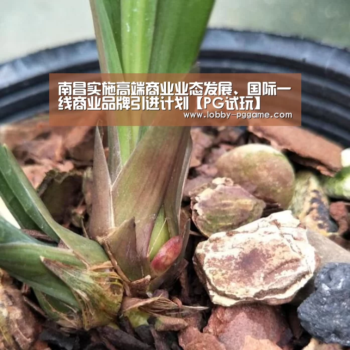 PG模拟器