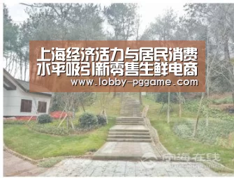 上海经济活力与居民消费水平吸引新零售生鲜电商入市‘pg电子’